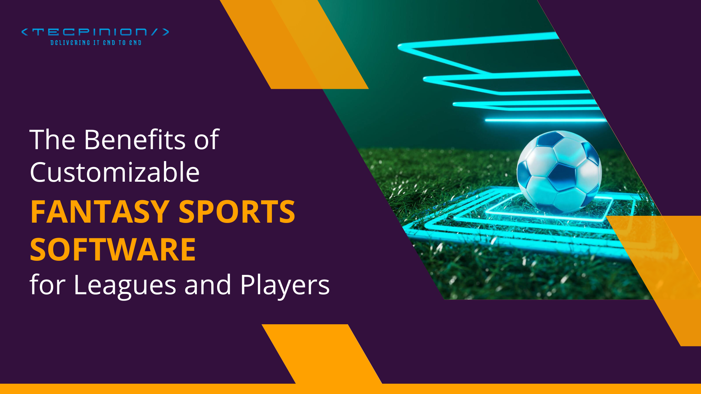 The Benefits of Customizable Fantasy Sports Software for Leagues and Players